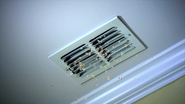 Best Air Duct Cleaning Near Me  in Oak Brook, IL